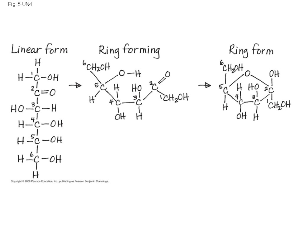 Fig. 5-UN4